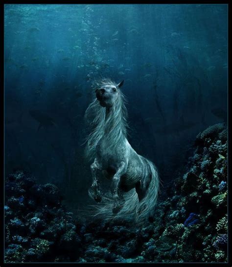 Magical Water Horse