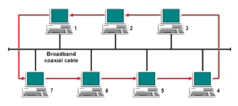 Contoh Topologi Bus - 54+ Koleksi Gambar