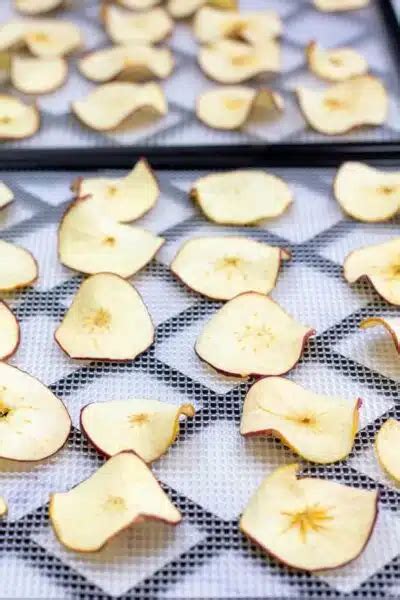 Best Dehydrated Apples: Tasty On-The-Go Fruit Snack