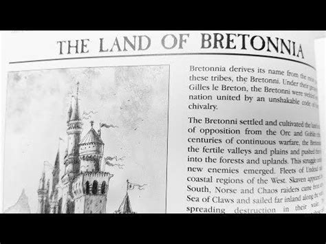 Reading Bretonnian lore, hope that it still is relevant for some and ...