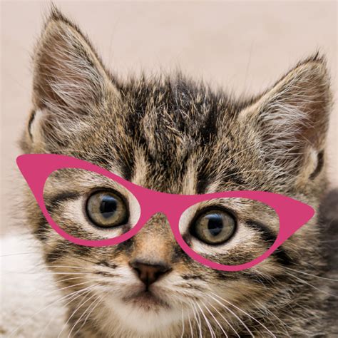 Our 9 Favorite Cat Eye Glasses - CatCon Worldwide