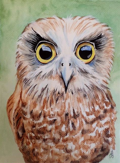 Boobook owl - OzArt Finder