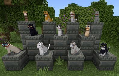 The Purrfect Pick: A Comprehensive Guide to Minecraft Cat Names - namingcat