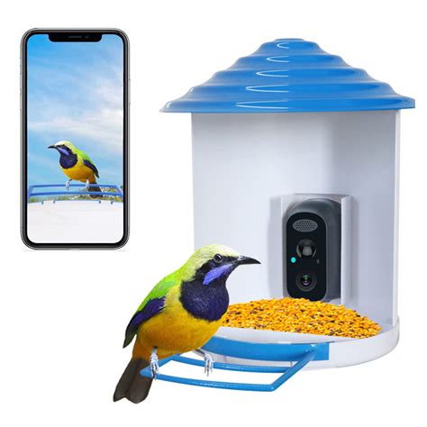 10 Best Bird Houses with Camera for Bird Watching - Hummingbirds Plus