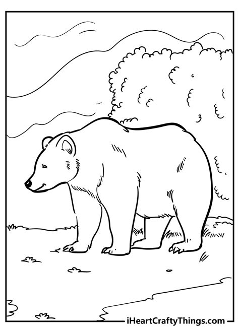 Bear Coloring Pages (Updated 2021)