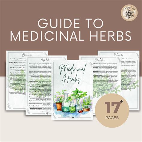 Printable Herbal Medicine Guide: A4 PDF on Medicinal Herbs, Herbal ...