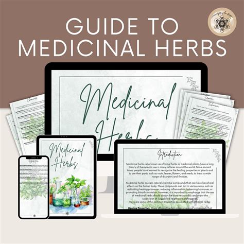 Printable Herbal Medicine Guide: A4 PDF on Medicinal Herbs, Herbal ...