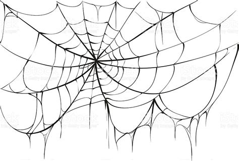 49+ Drawing Spider Web Gif - Octopus