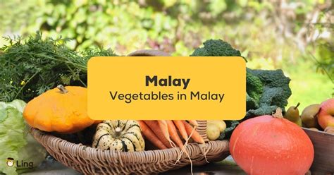 25+ Vegetables In Malay: Special Treasures For Healthy Living - ling ...