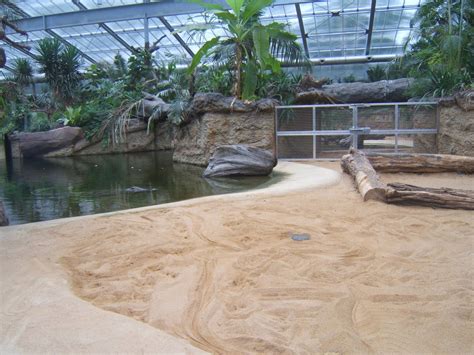 View of Nile Crocodile enclosure - ZooChat