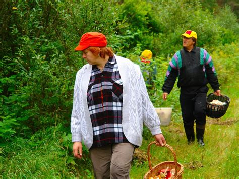 Edible Wild Plants, Foraging Herbs in the Wild - Snack Rules