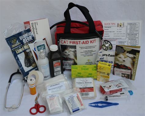 Win a Pet First-Aid Kit