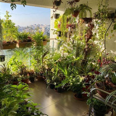 20 Balcony Garden Ideas - How to Grow Plants on a Small Balcony ...