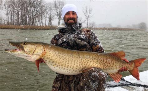 When Do Muskie Spawn? (Times, Temperatures, Locations)