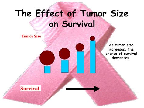 PPT - Breast Cancer PowerPoint Presentation, free download - ID:1448931