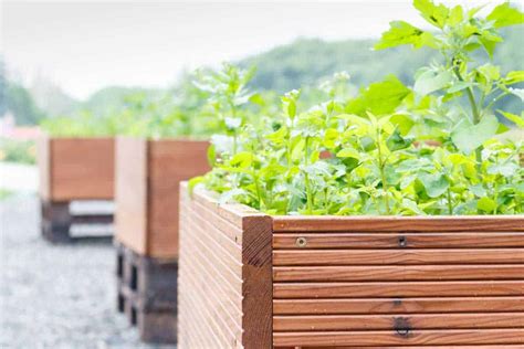 How To Build A Planter Box For Vegetables