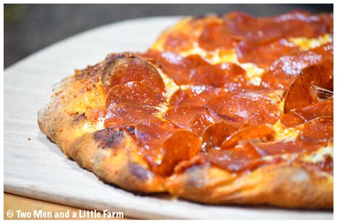 Two Men and a Little Farm: LODGE CAST IRON PIZZA PAN REVIEW