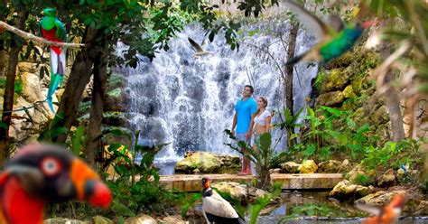 Xcaret Archaeological Park Ticket | musement