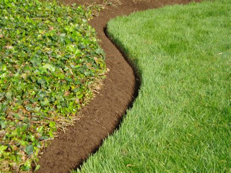 The Best Landscape Edging to Install Around Your Flower Beds ...