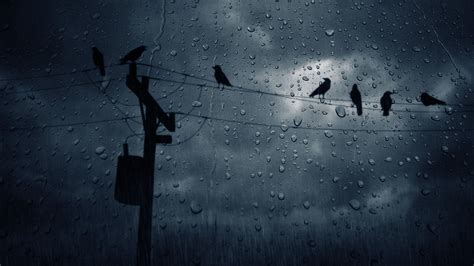 Dark Rain Wallpapers - Top Free Dark Rain Backgrounds - WallpaperAccess