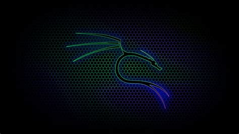 Kali linux, electric blue, computer, neon, dragon, HD wallpaper | Peakpx