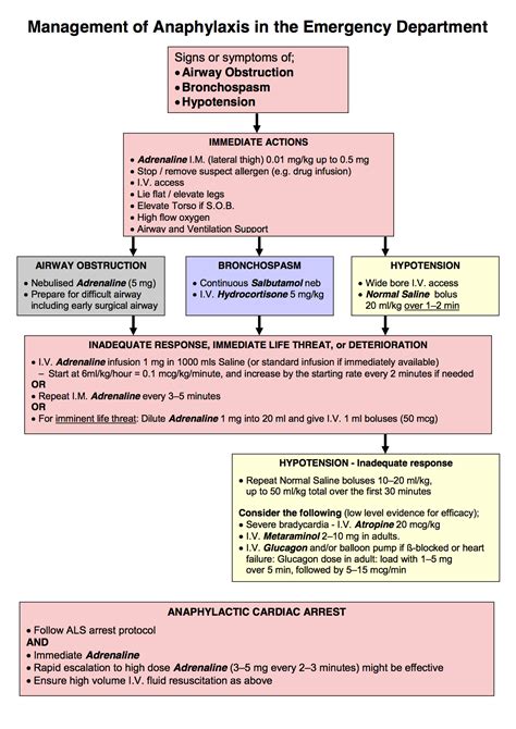 Anaphylaxis Management Flow Chart - Charlie's ED