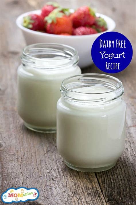 Easy Dairy Free Yogurt Recipe for any non-dairy milk