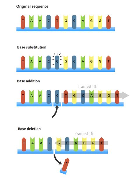 Flow Diagram Of Mutation Flowchart Illustrating The Process