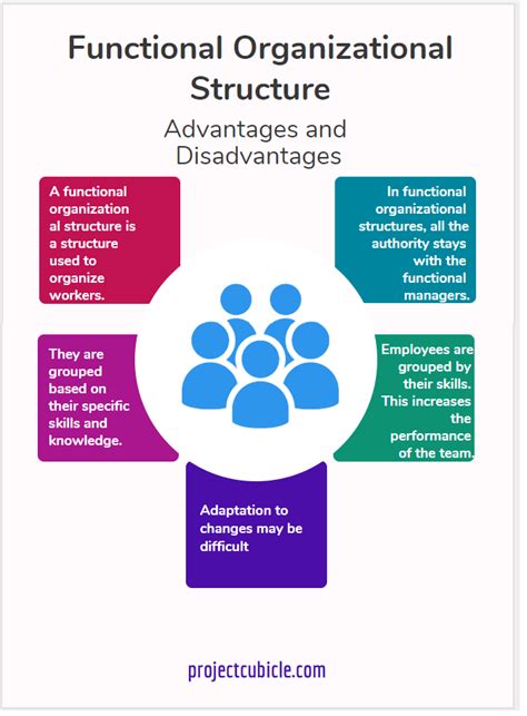 Functional Organizational Structure Advantages - projectcubicle