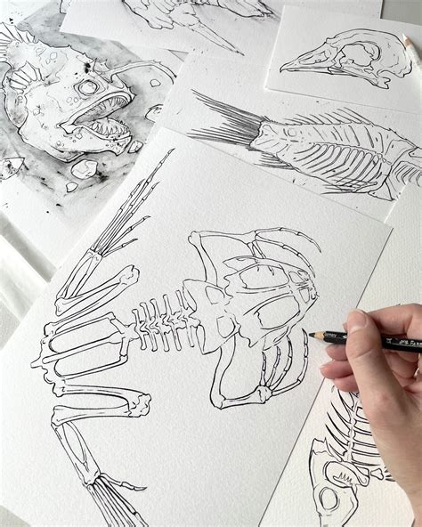 Frog Skeleton – Josephine Draws