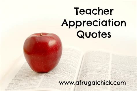 Teacher Appreciation Quotes