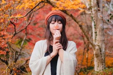 Planning Your Autumn in Japan - Chopsticks on the Loose