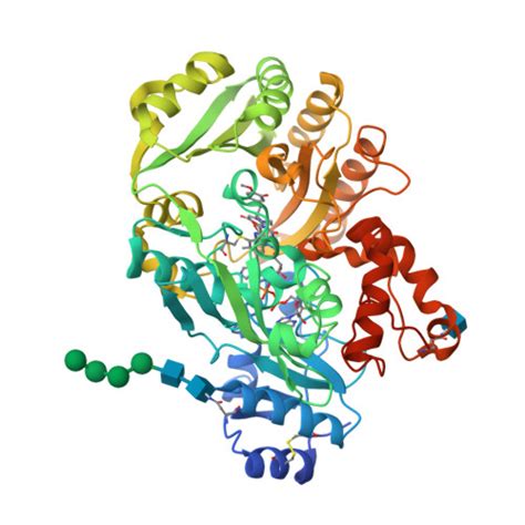 RCSB PDB - 3D2D: Structure of berberine bridge enzyme in complex with ...