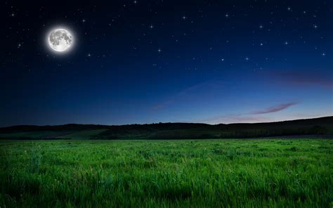 Full Moon Night Wallpaper - Moon Night Hd (#152857) - HD Wallpaper ...