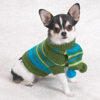 New Chihuahua Clothes By Yourself - Knitting A Sweater - Chihuahua ...