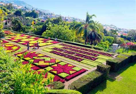 470+ Madeira Botanical Garden Stock Photos, Pictures & Royalty-Free ...