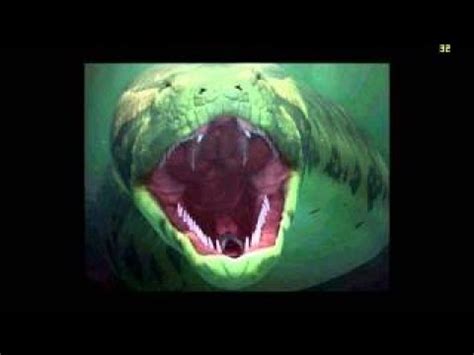 Titanoboa Movie Rant/Review - YouTube