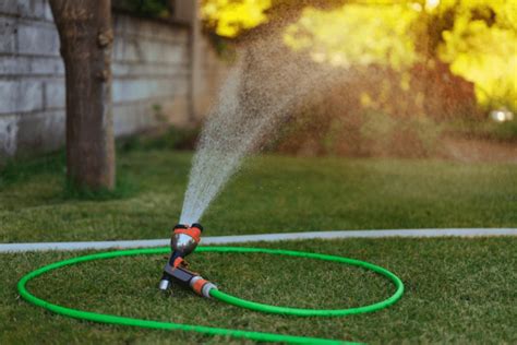 How to Use a Soaker Hose | The Best Guide You Need to Follow