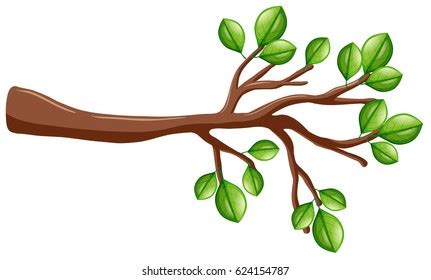 Tree Branch Clip Art Royalty-Free Images, Stock Photos & Pictures ...