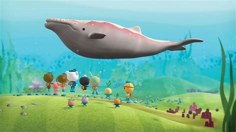 Octonauts Sperm Whale