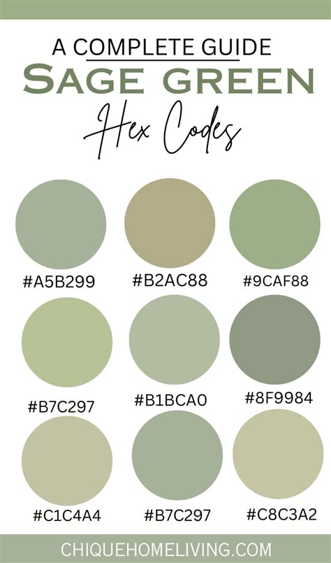 Sage Green Color Codes and Paint Colors