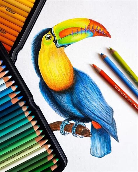 Color and Fun Animal Pencil Drawings | Pencil drawings of animals ...