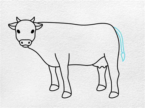 How to Draw a Cow - HelloArtsy