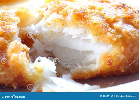 Battered Fish Royalty Free Stock Image - Image: 20339166