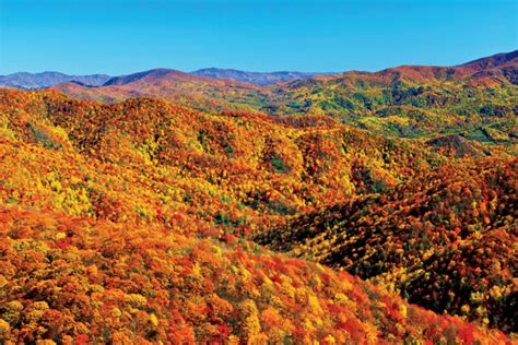 6 Places to Fall for Foliage in Tennessee - Page 4 of 6 - Tennessee ...