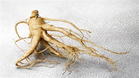 How To Cook Ginseng Root - Recipes.net