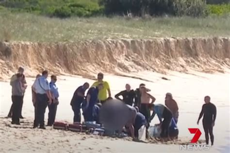 Surfer killed in shark attack at Australian beach