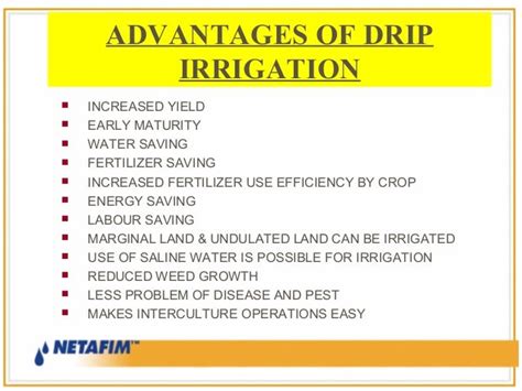 Drip irrigation benefits