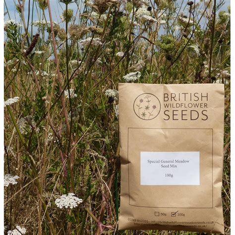 Special Meadow Mix | Wildflower Seed Packets | British Wildflower Seeds ...