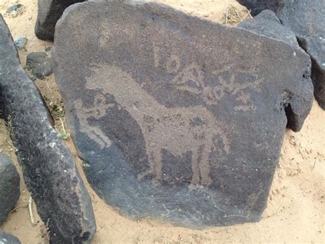 Uncountable rock art found in Jordan’s Black Desert | ArchaeoFeed